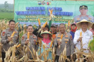 Img 20250225 Wa0006