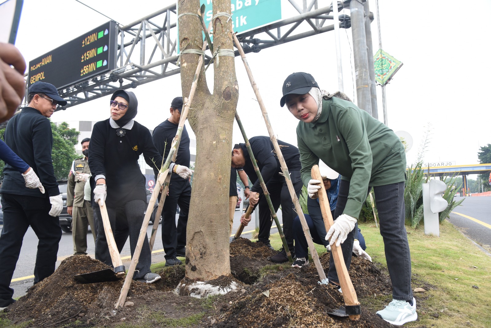 Gerakan Jihad Rawat Taman, Pemkab Sidoarjo Tanam Pohon Pule di Taman Gerbang Tol Sidoarjo