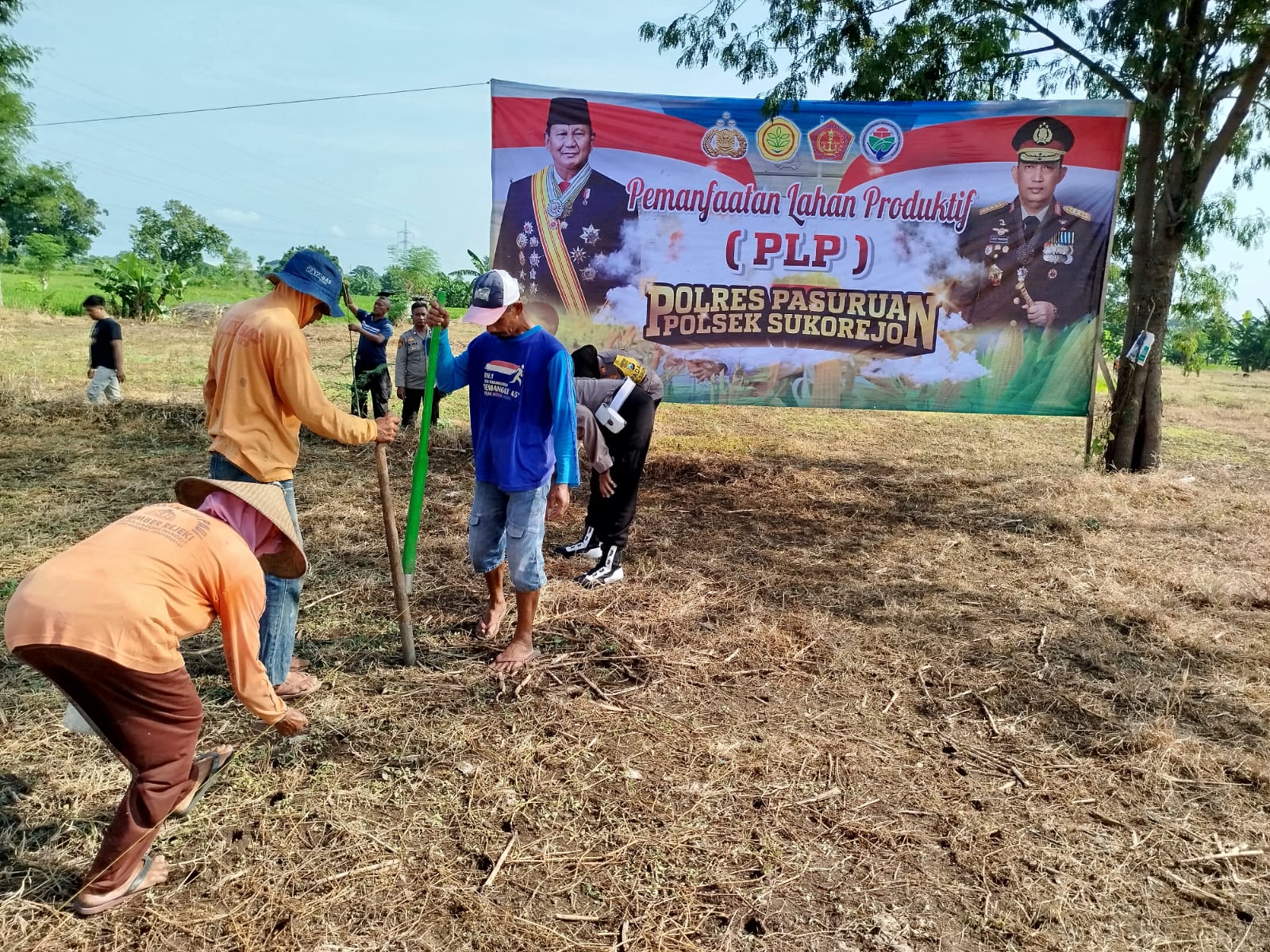Mendukung Asta Cita Polsek Sukorejo Bersama Gapoktan Tanam Jagung di Karangsono untuk Ketahanan Pangan