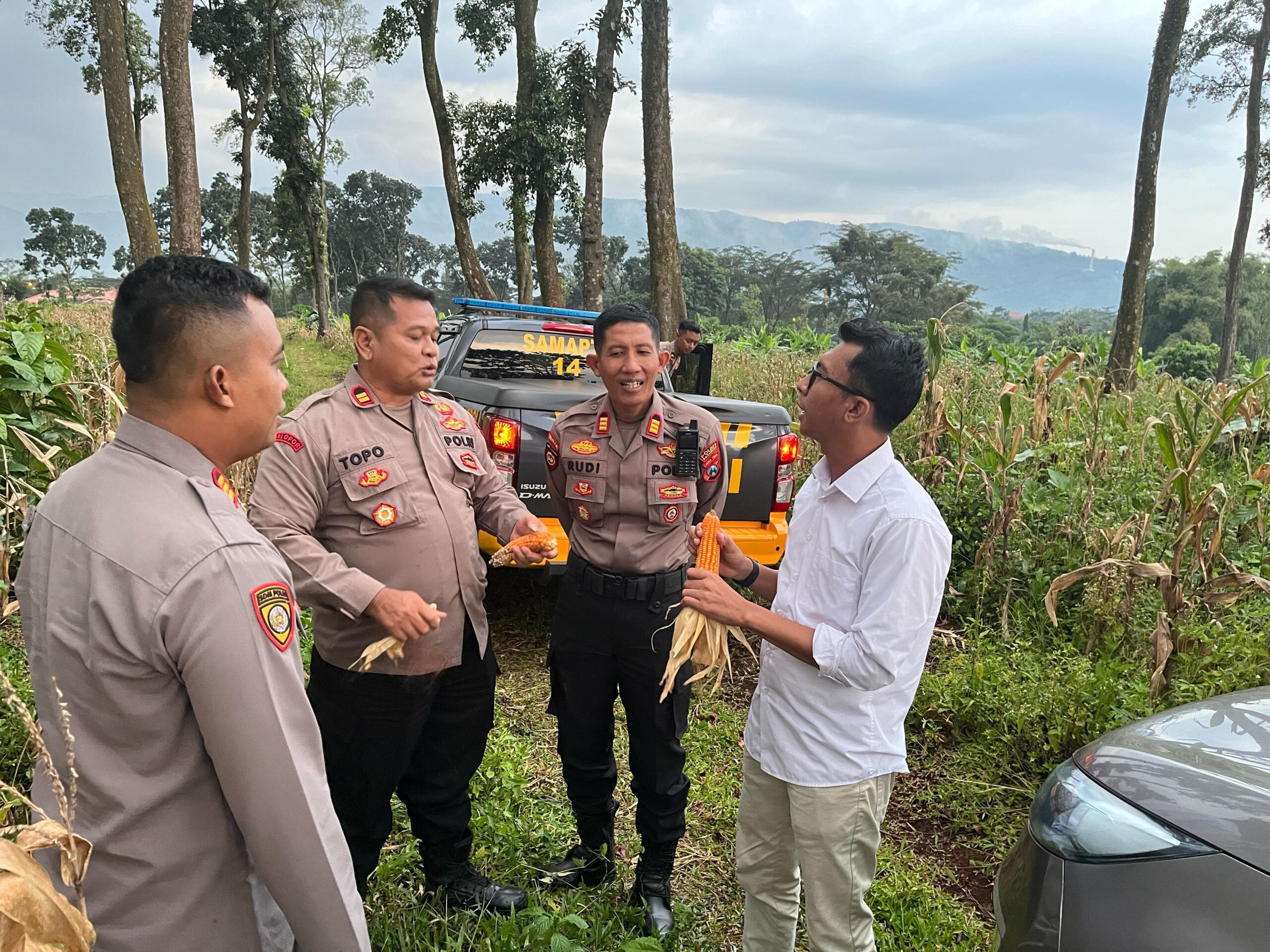 Dukung Ketahanan Pangan sejumlah pejabat Polres Pasuruan Cek Kuwalitas Jagung siap panen