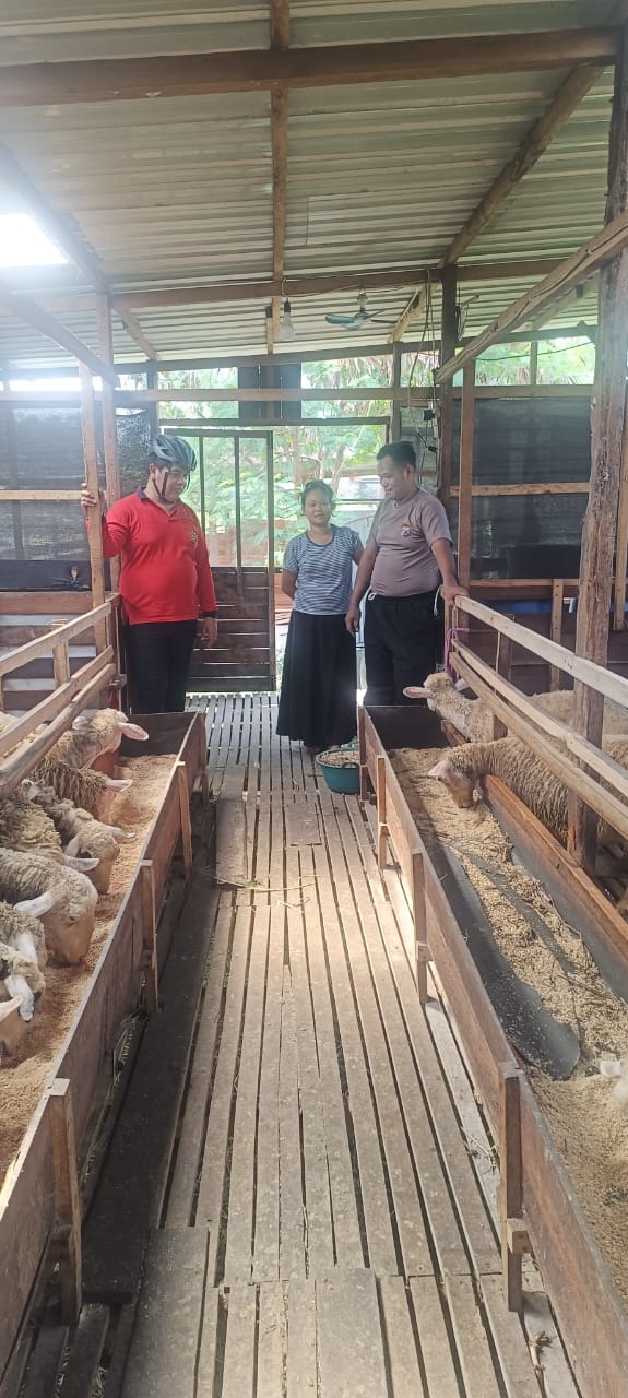 Go KETAPANG, Inisiatif Polsek Gempol Dukung Peternak Lokal
