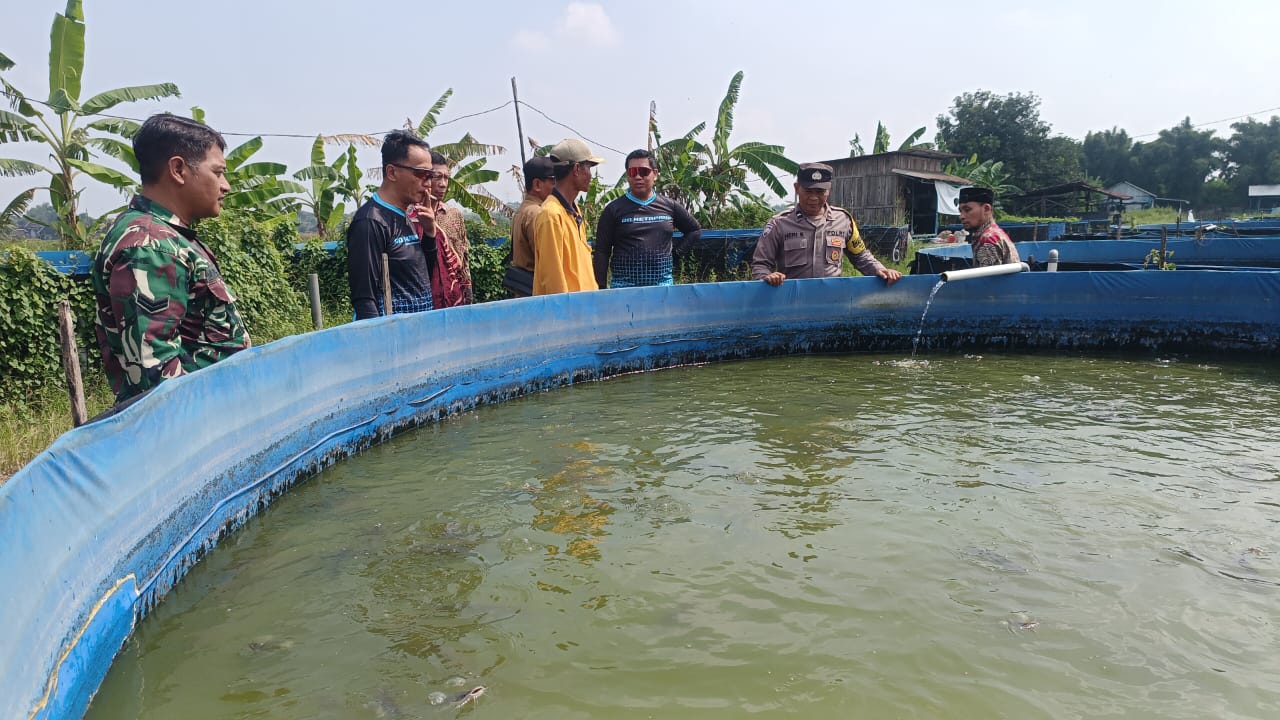 Implementasi Asta Cita, Polsek Gempol Gandeng Gapoktan Kembangkan Budidaya Lele
