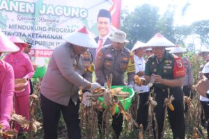 Img 20250507 Wa0025