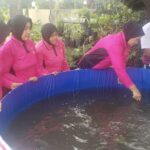 Img 20250503 Wa0017
