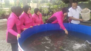 Img 20250503 Wa0017