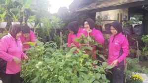 Img 20250503 Wa0018