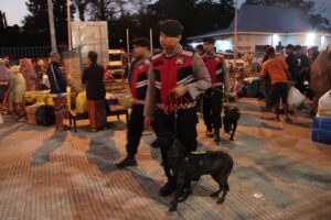 Img 20250624 Wa0045