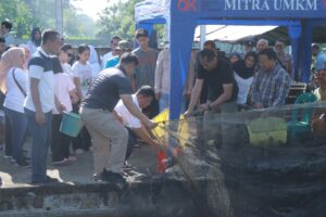 Img 20250605 Wa0018