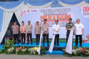 Img 20250815 wa0027