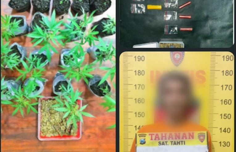 Polres Malang Berhasil Amankan Bandar Sabu Miliki Kebun Ganja di Tumpang