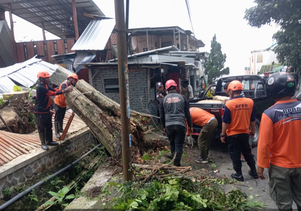 Cuaca Ekstrem, BPDB Kabupaten Pasuruan Beri Peringatan Dini Waspadai Pohon Tumbang