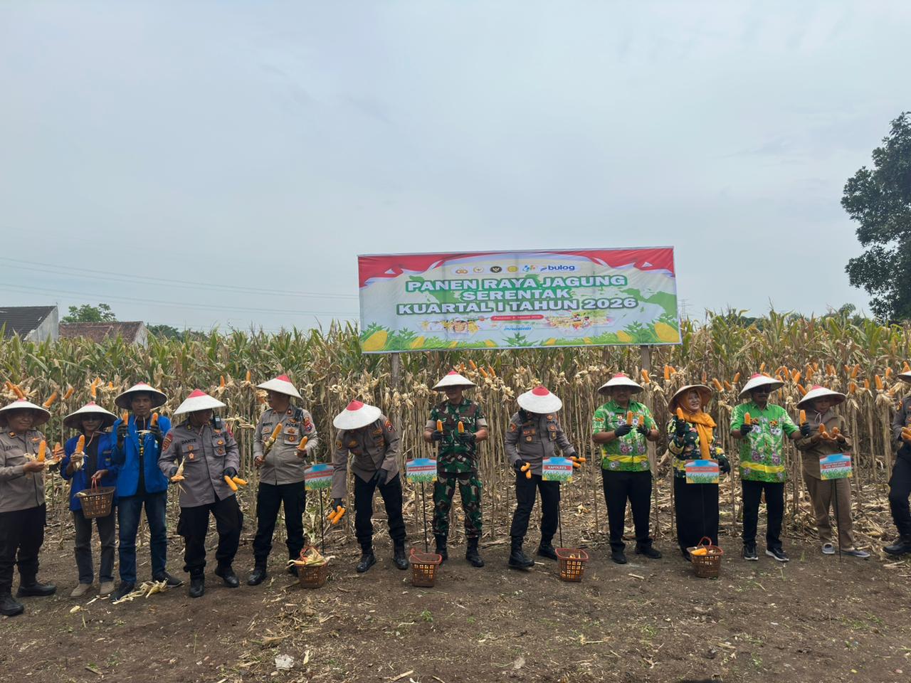 Panen Jagung Serentak Kuartal I 2026 bersama Kapolri, Kapolres Pasuruan Tegaskan Komitmen Ketahanan Pangan