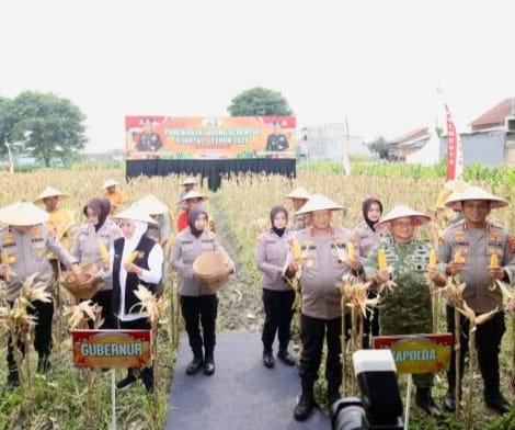 Polda Jatim Gelar Panen Raya Jagung Serentak Kuartal IV di Sidoarjo
