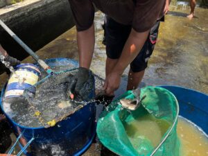 E8a66d23 d5e9 48c7 acac 4a52f73de0f4