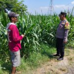 Img 20260618 wa0006