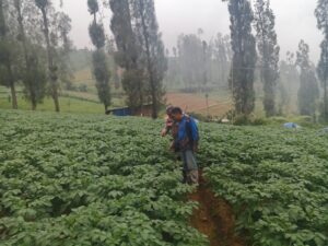 Img 20260605 wa0023