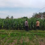 Img 20260704 wa0006