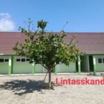 Img 20260714 wa0002